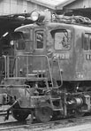 sugi-ef1311