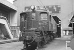 sugi-ef1313