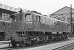 sugi-ef1315