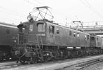 sugi-ef1316