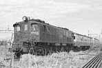 sugi-ef1316