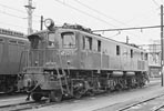 sugi-ef1317