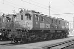 sugi-ef1318