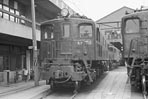 sugi-ef1318