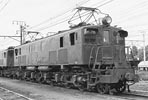 sugi-ef131