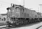 sugi-ef131