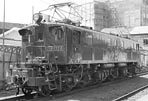 sugi-ef1324