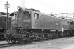 sugi-ef1325