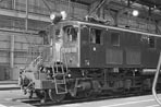 sugi-ef1329