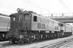 sugi-ef132