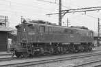 sugi-ef1330