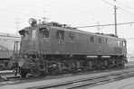 sugi-ef134