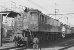sugi-ef135