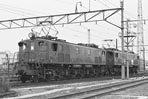 sugi-ef136