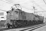 sugi-ef136