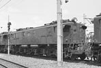 sugi-ef137
