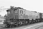 sugi-ef139
