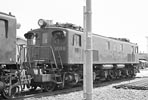 sugi-ef139