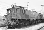 sugi-ef139